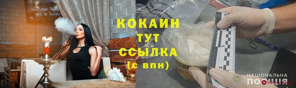 прущие крисы Бородино